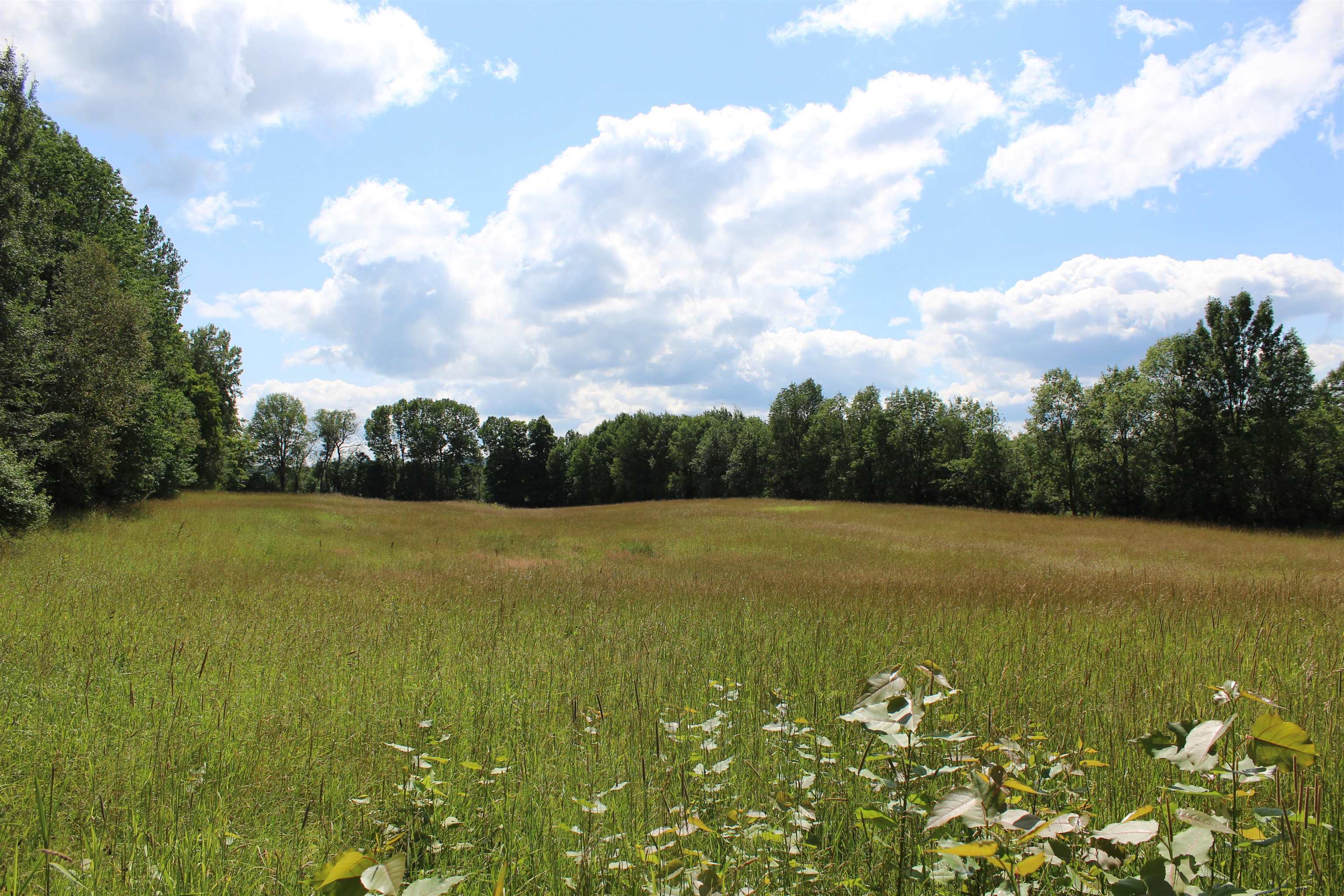 3091 Baptist Street Williamstown, VT 05679 - Photo 36 of 41