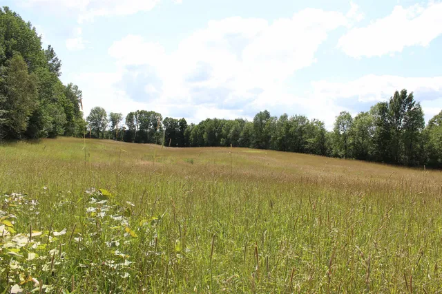 $549,000 | 3091 Baptist Street, Williamstown, VT 05679