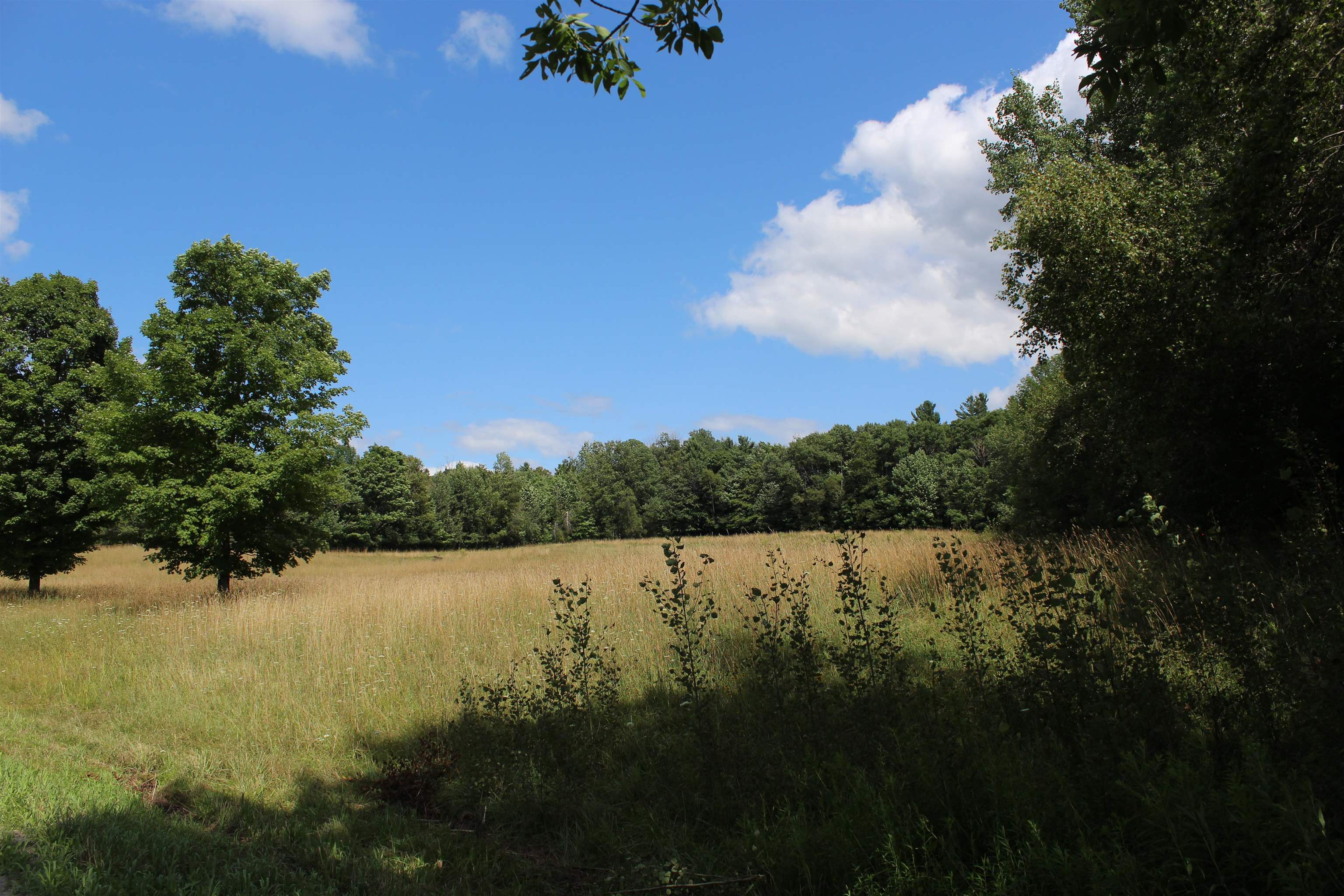 3091 Baptist Street Williamstown, VT 05679 - Photo 39 of 41