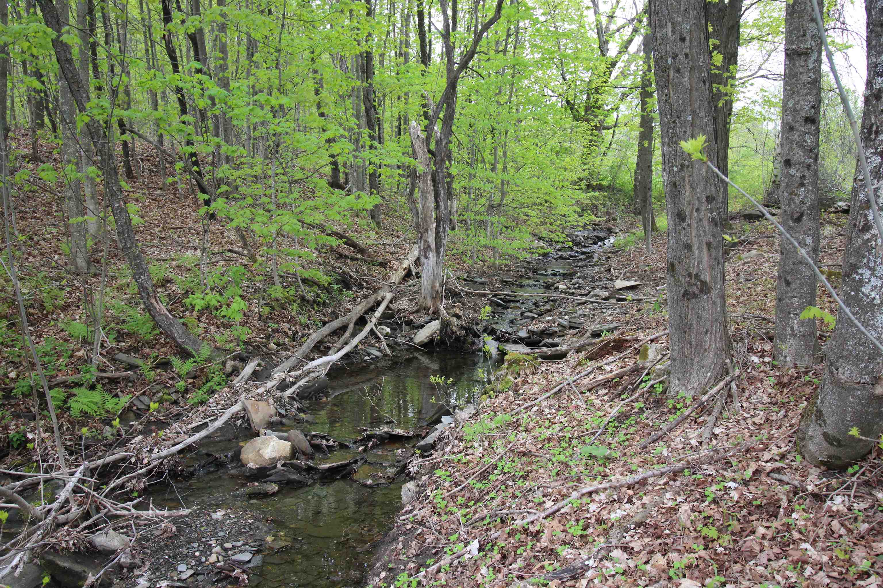 3091 Baptist Street Williamstown, VT 05679 - Photo 41 of 41