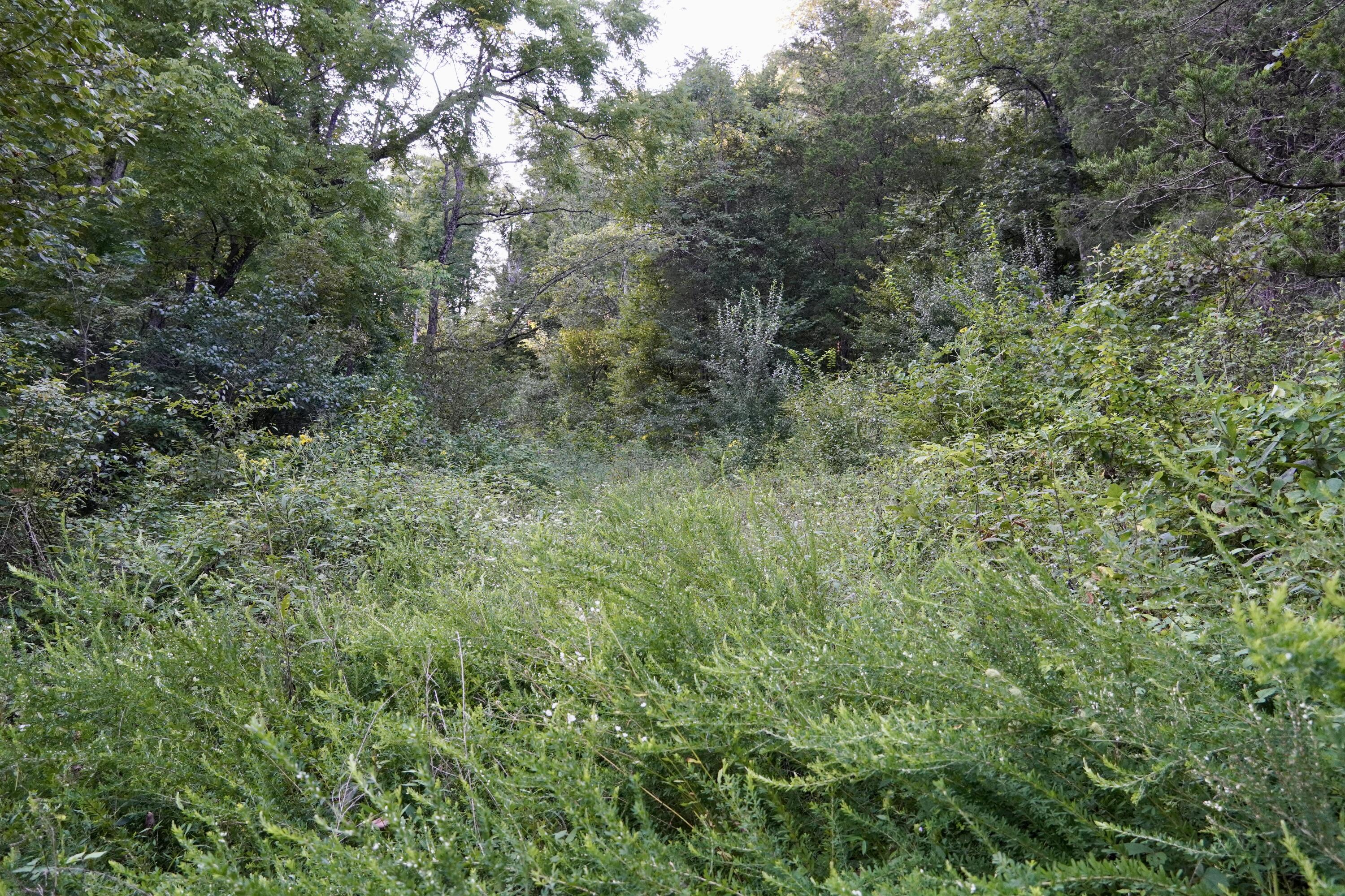 6265 Georgetown Road Owenton, KY 40359 - Photo 22 of 149 OWEN24093