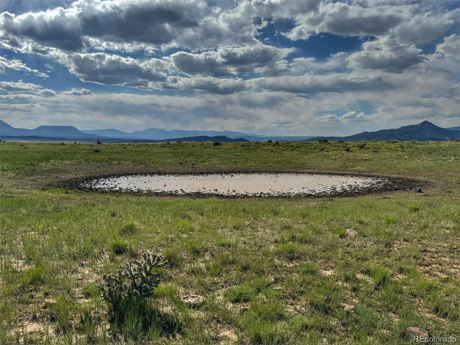 a view of a pathway both side of grassy field with shrub