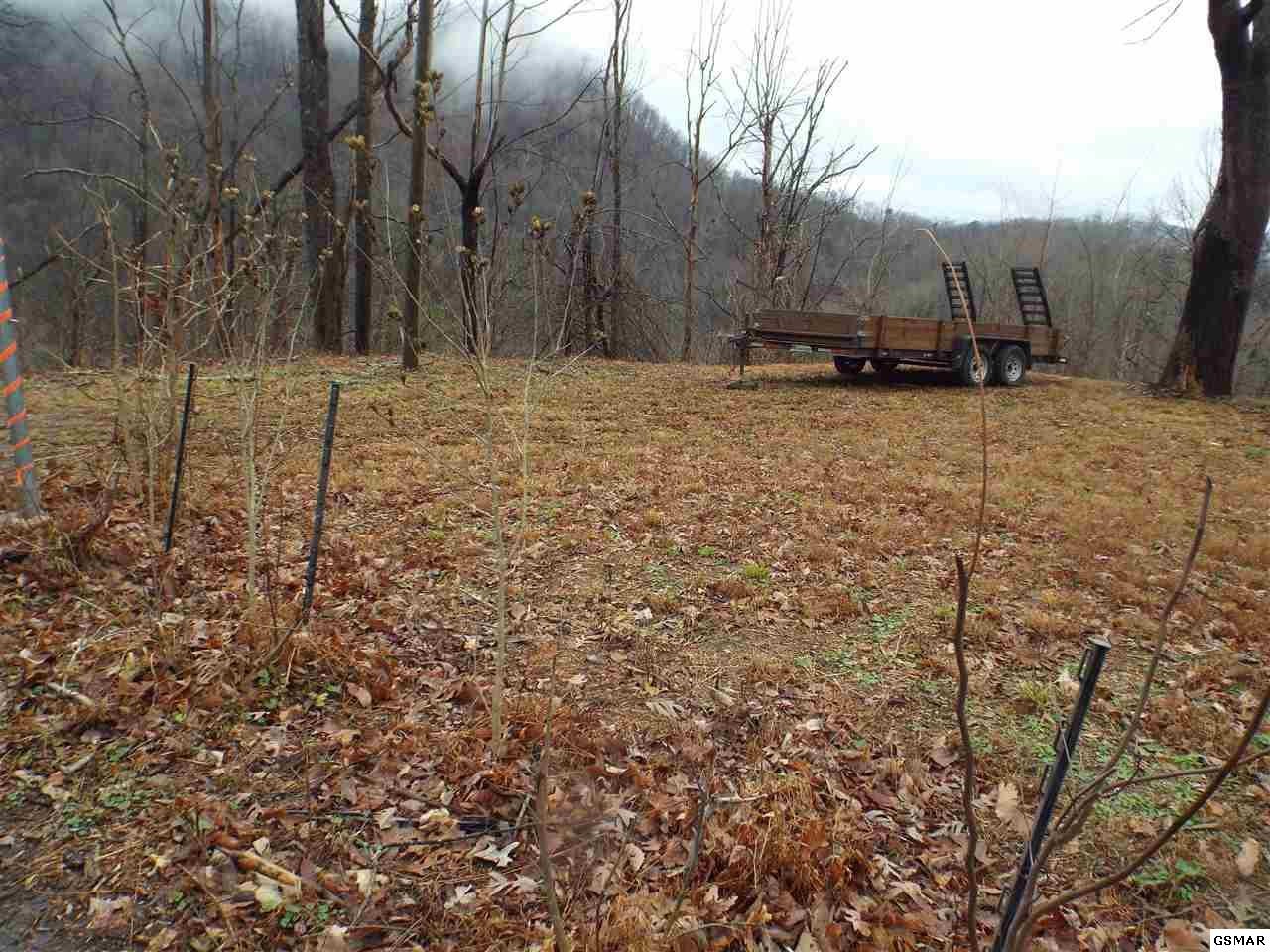 0 Loop Road Gatlinburg, TN 37738 - Photo 1 of 9