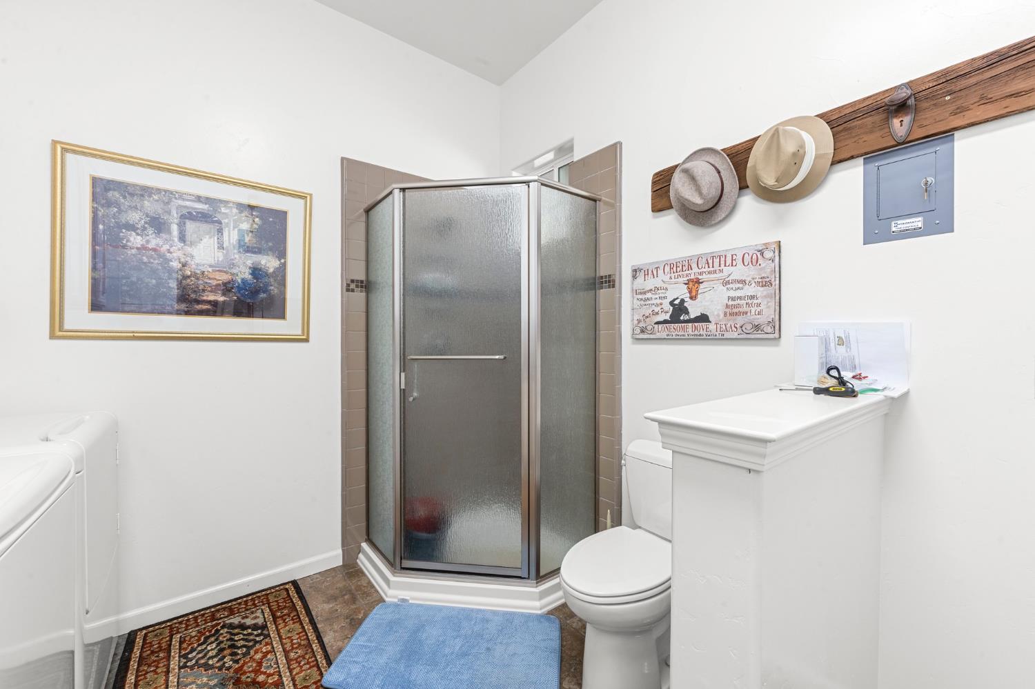 1237 Cable Road Camino, CA 95709 - Photo 47 of 87