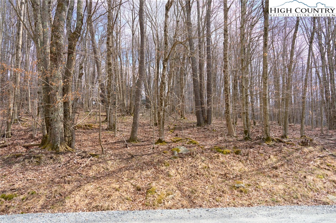 217 Overbrook Trail Beech Mountain, NC 28604 - Photo 16 of 16 close up of wood walls