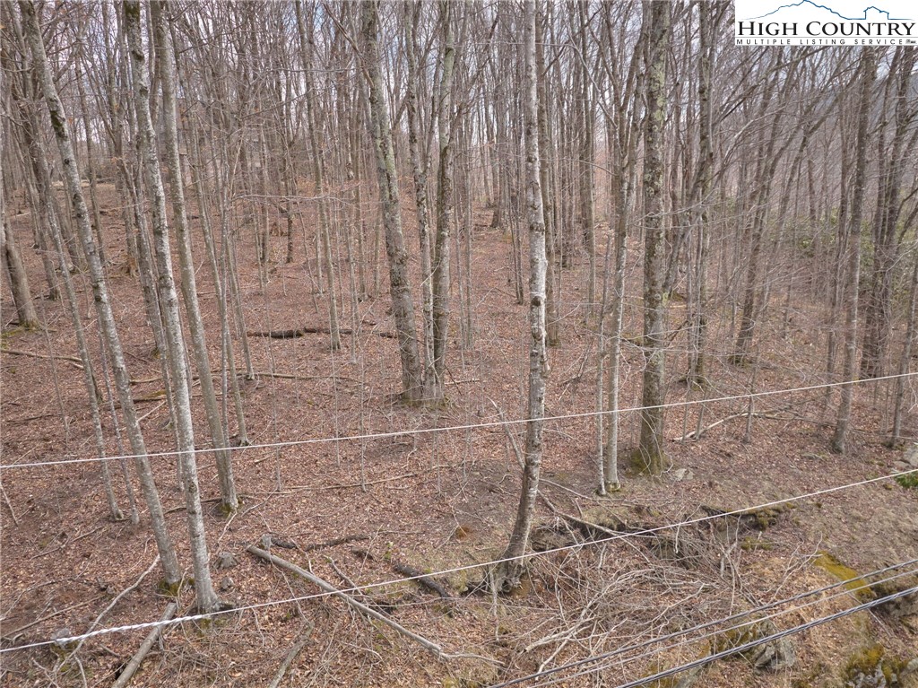217 Overbrook Trail Beech Mountain, NC 28604 - Photo 3 of 16 a bathroom with a shower