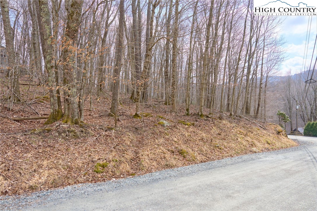 217 Overbrook Trail Beech Mountain, NC 28604 - Photo 4 of 16