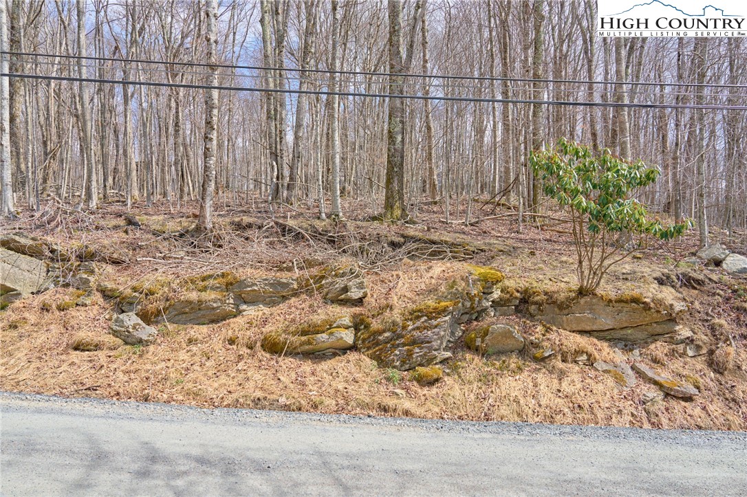 217 Overbrook Trail Beech Mountain, NC 28604 - Photo 5 of 16 a view of outdoor space with plants