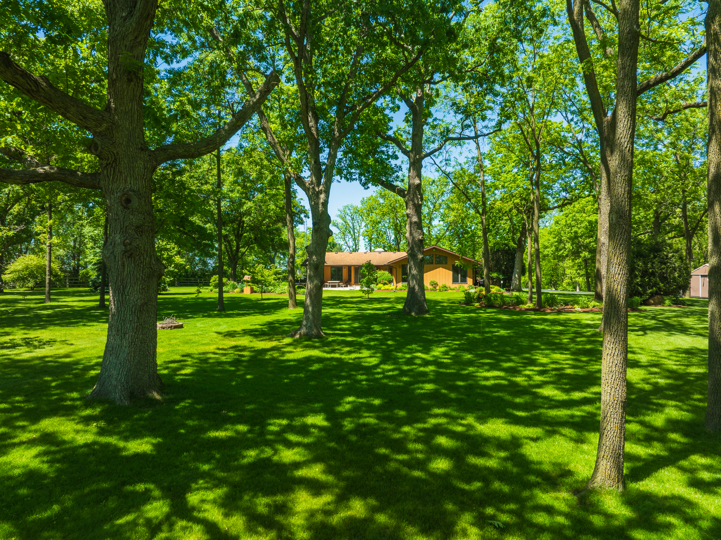7405 Maxon Road Harvard, IL 60033 - Photo 26 of 30 a view of yard with a tree