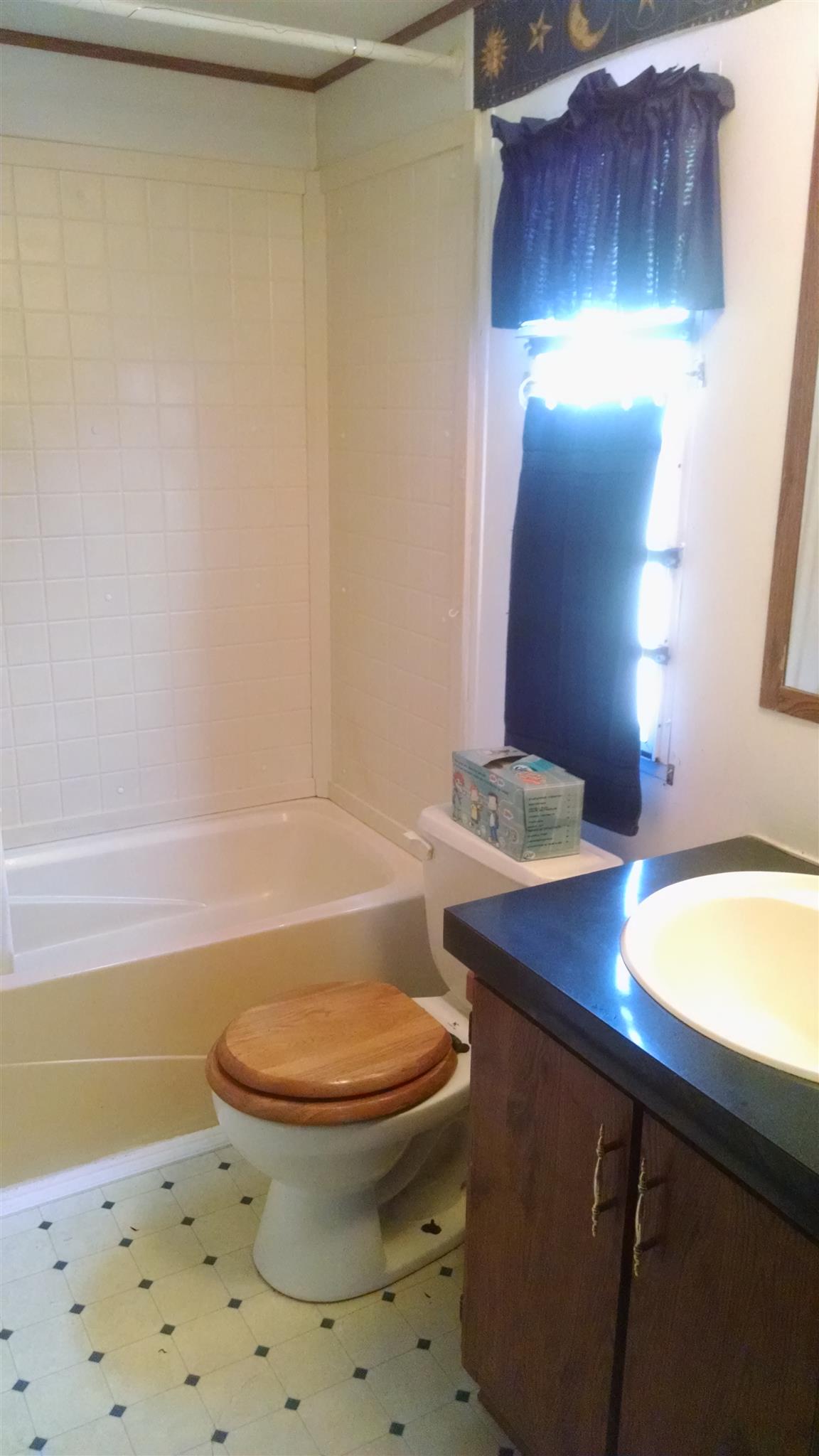 1535 Maddox Road Centerville, TN 37033 - Photo 11 of 26 a bathroom with a sink toilet and a tub
