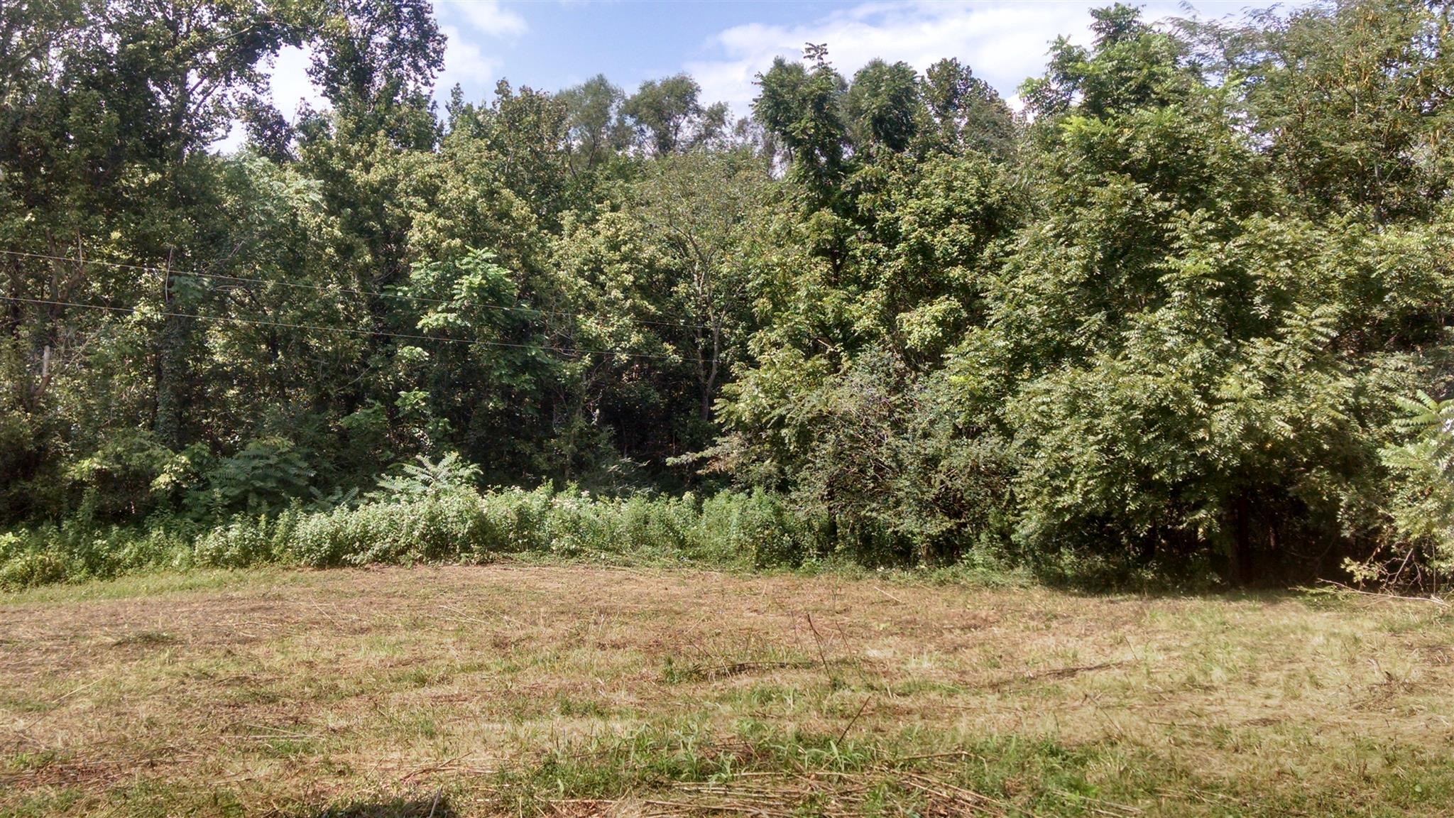1535 Maddox Road Centerville, TN 37033 - Photo 18 of 26 a view of a yard with a tree