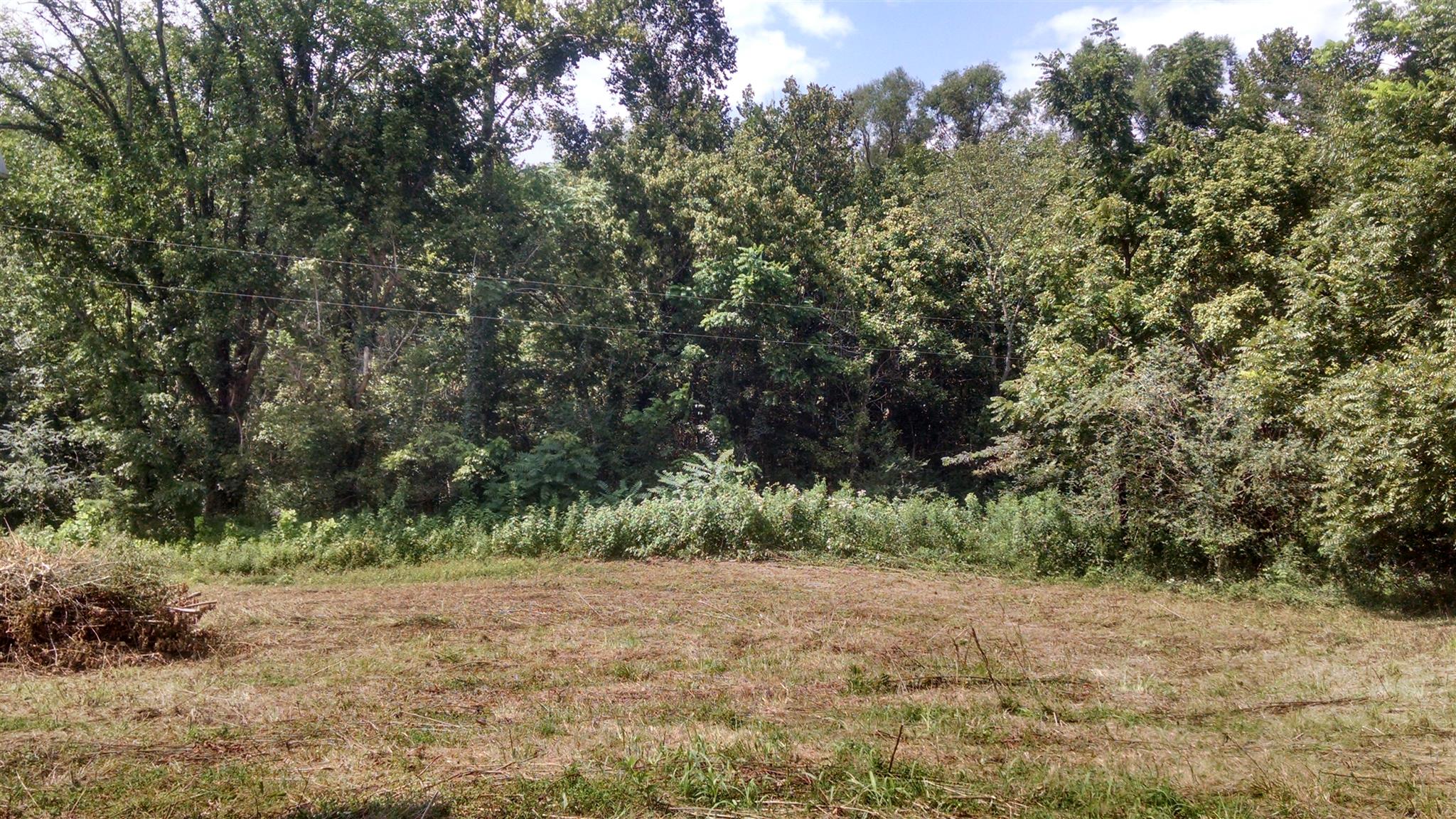 1535 Maddox Road Centerville, TN 37033 - Photo 19 of 26 a view of a forest with trees in the background