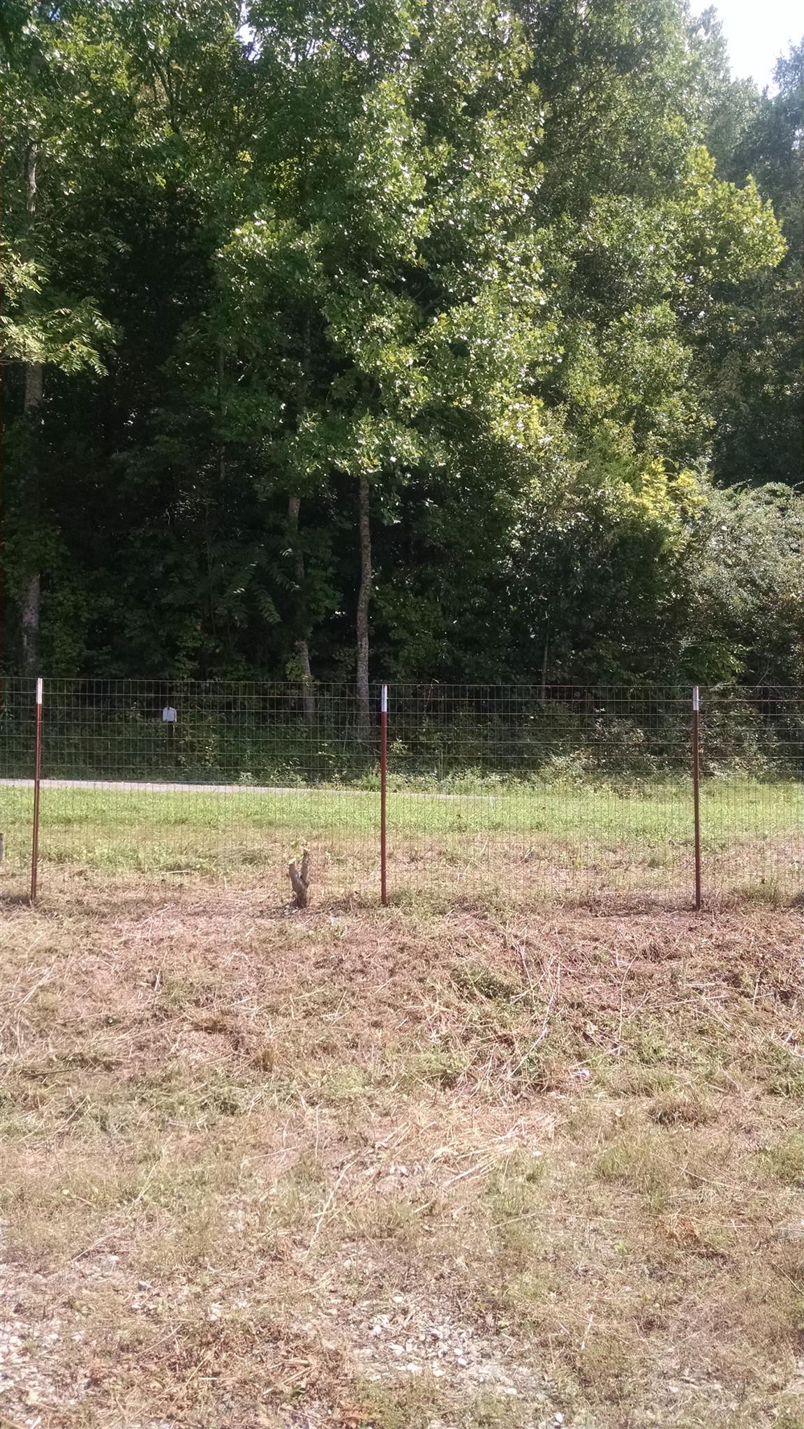 1535 Maddox Road Centerville, TN 37033 - Photo 21 of 26 a view of a backyard