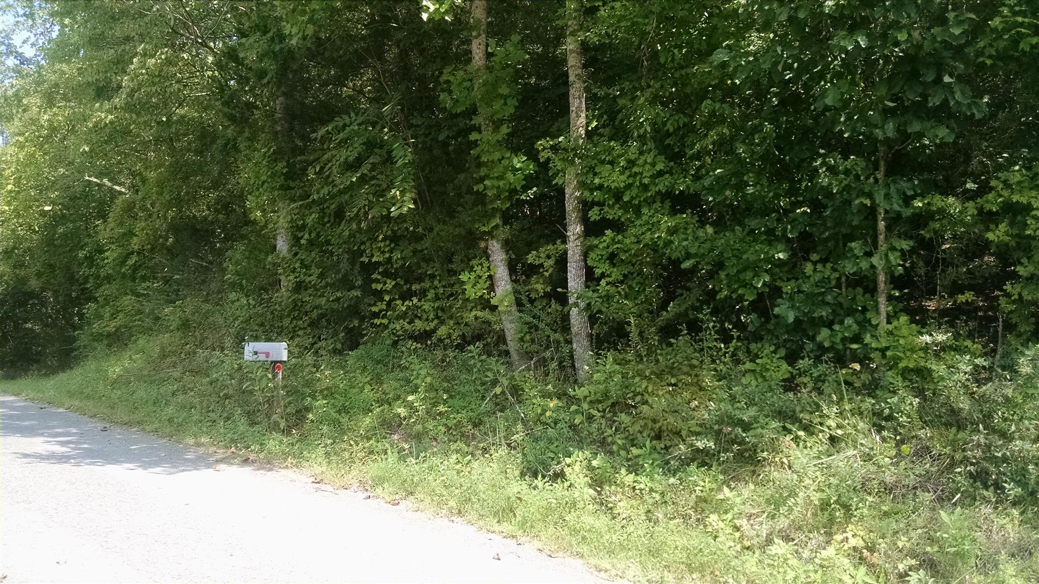 1535 Maddox Road Centerville, TN 37033 - Photo 22 of 26 a view of a forest with a tree