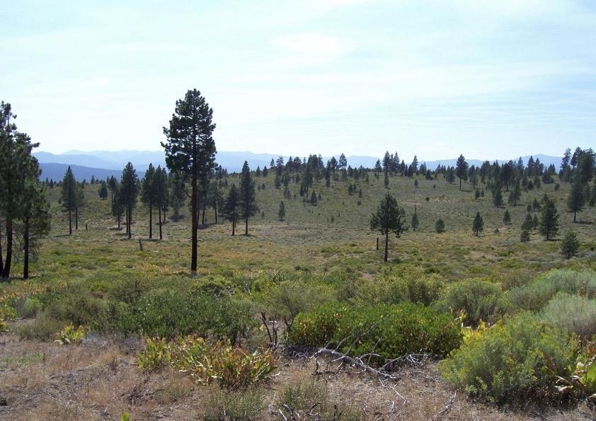 0 Boca Road Truckee, CA 96161 - Photo 3 of 17