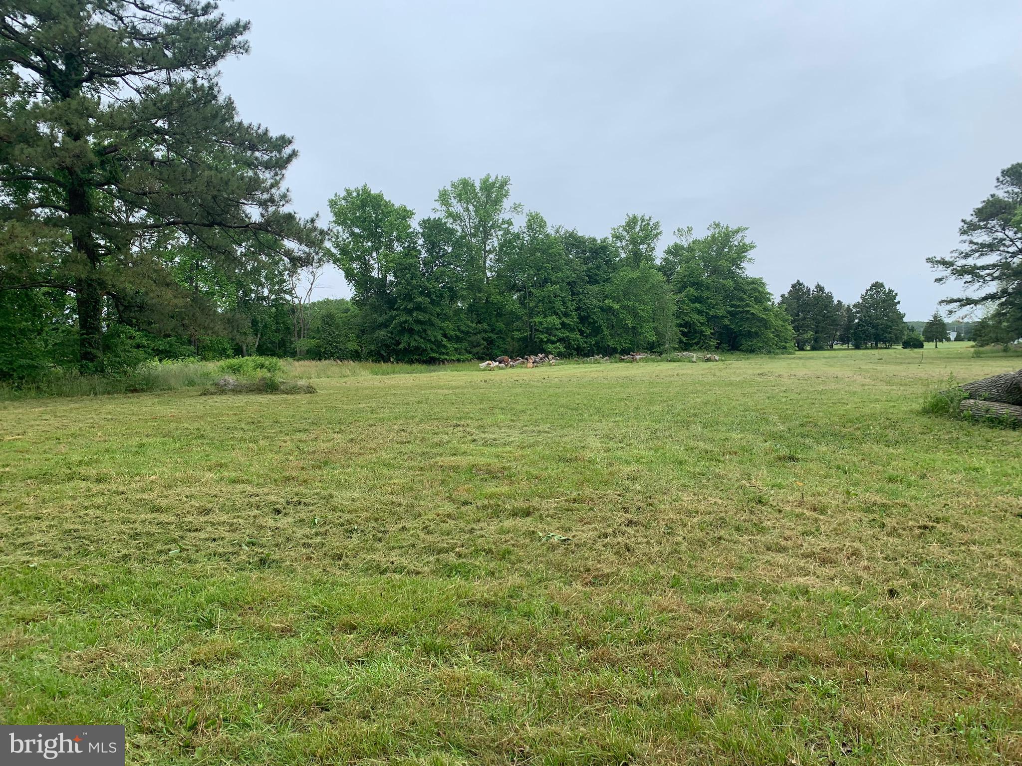 Rhodesdale Vienna Road Rhodesdale, MD 21659 - Photo 1 of 6 Cleared perc approved lot!