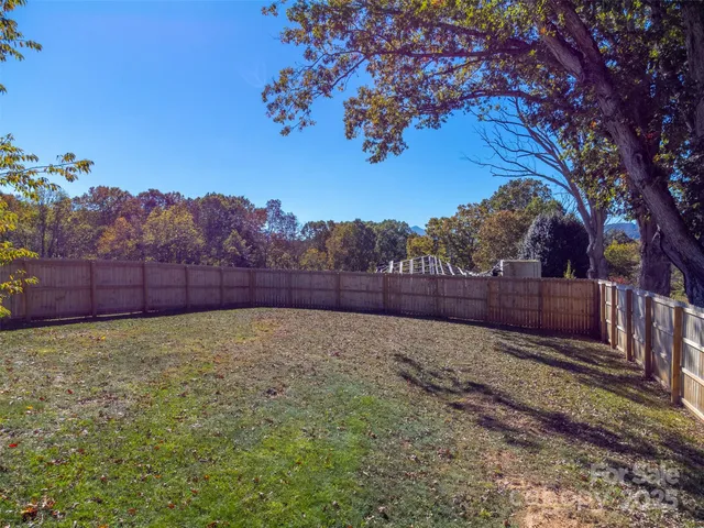 a view of backyard and tree