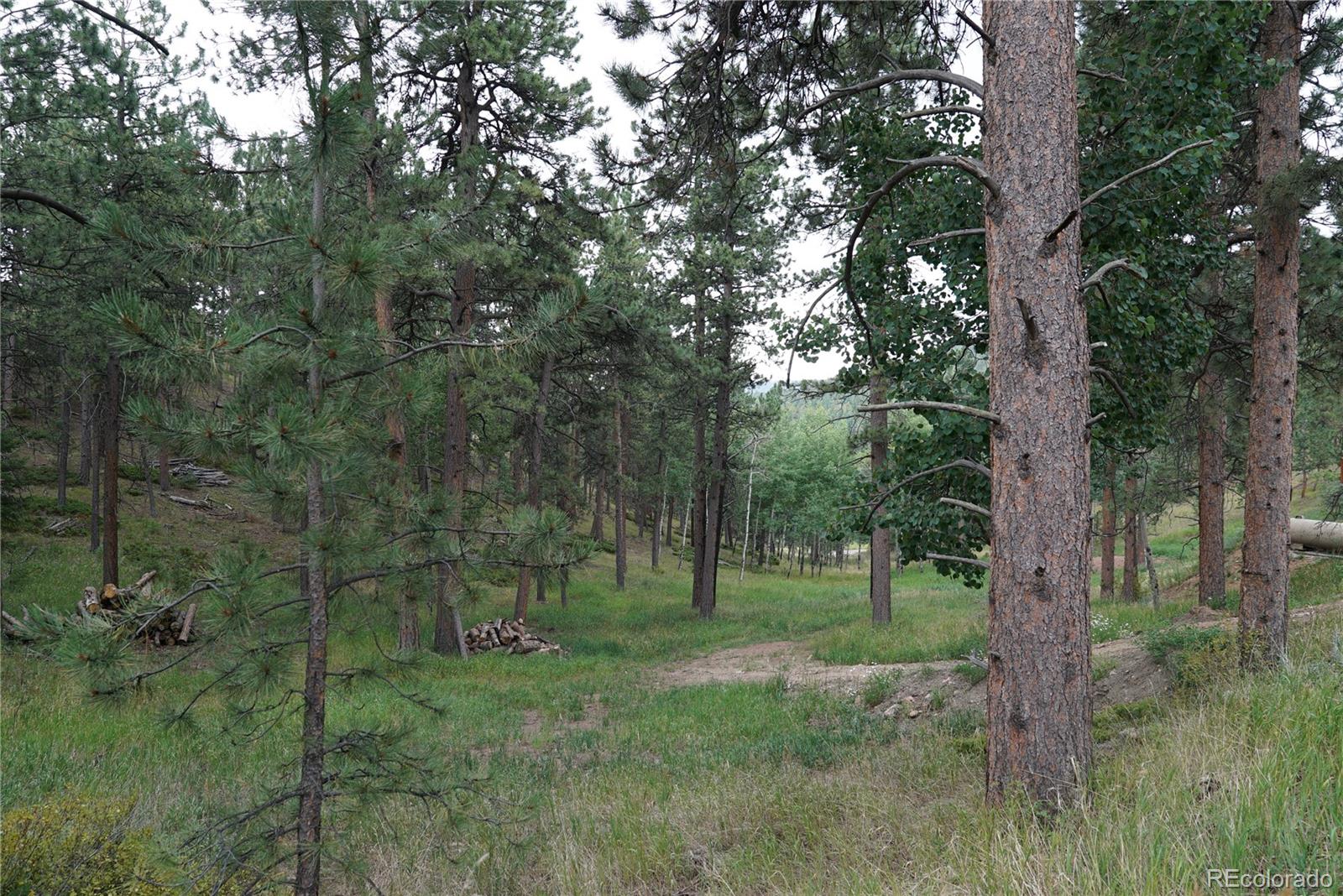 Cordingly Road Conifer, CO 80433 - Photo 1 of 5 Gallery Image 1