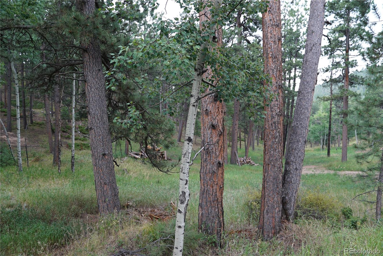 Cordingly Road Conifer, CO 80433 - Photo 2 of 5 Gallery Image 2