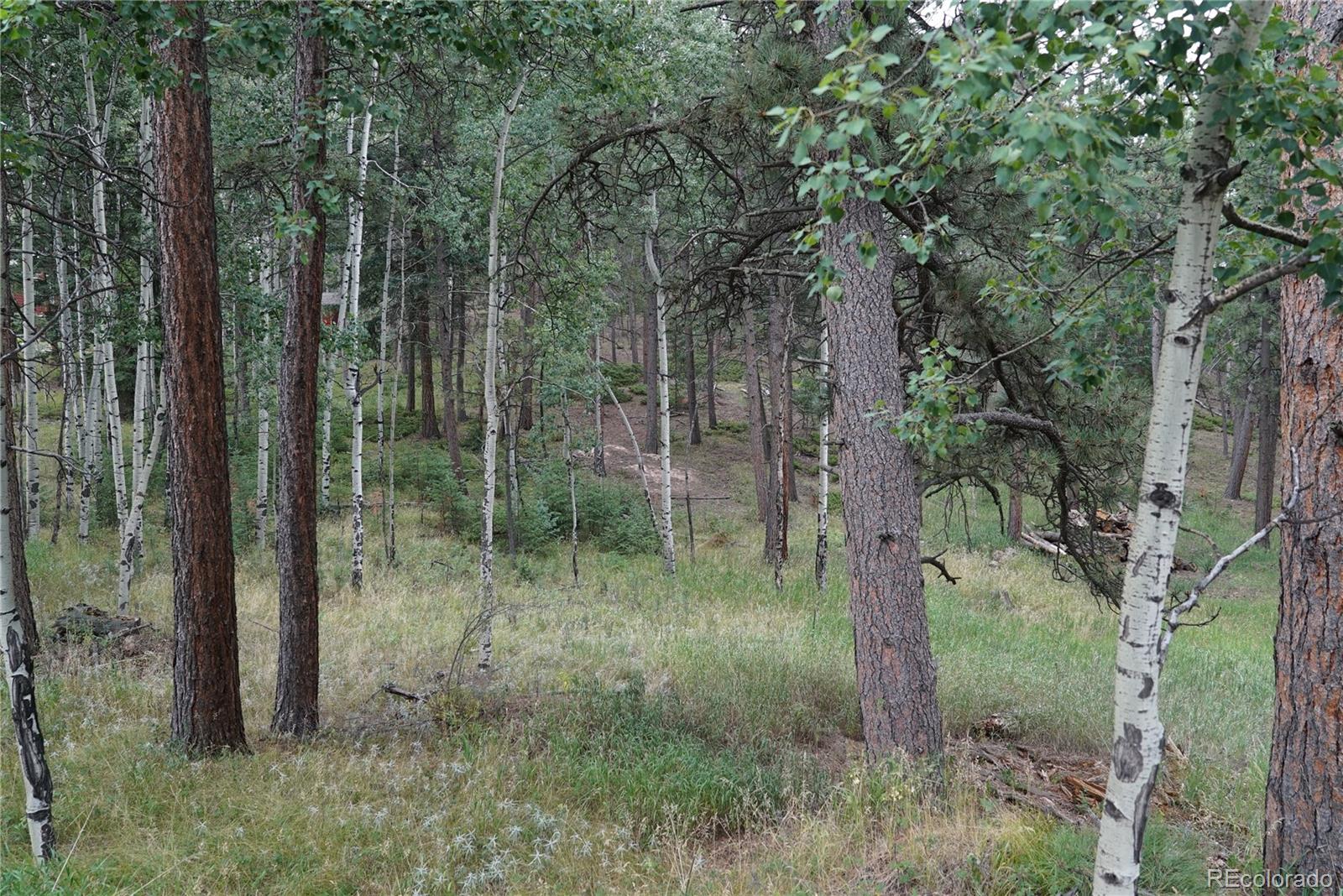 Cordingly Road Conifer, CO 80433 - Photo 3 of 5 Gallery Image 3