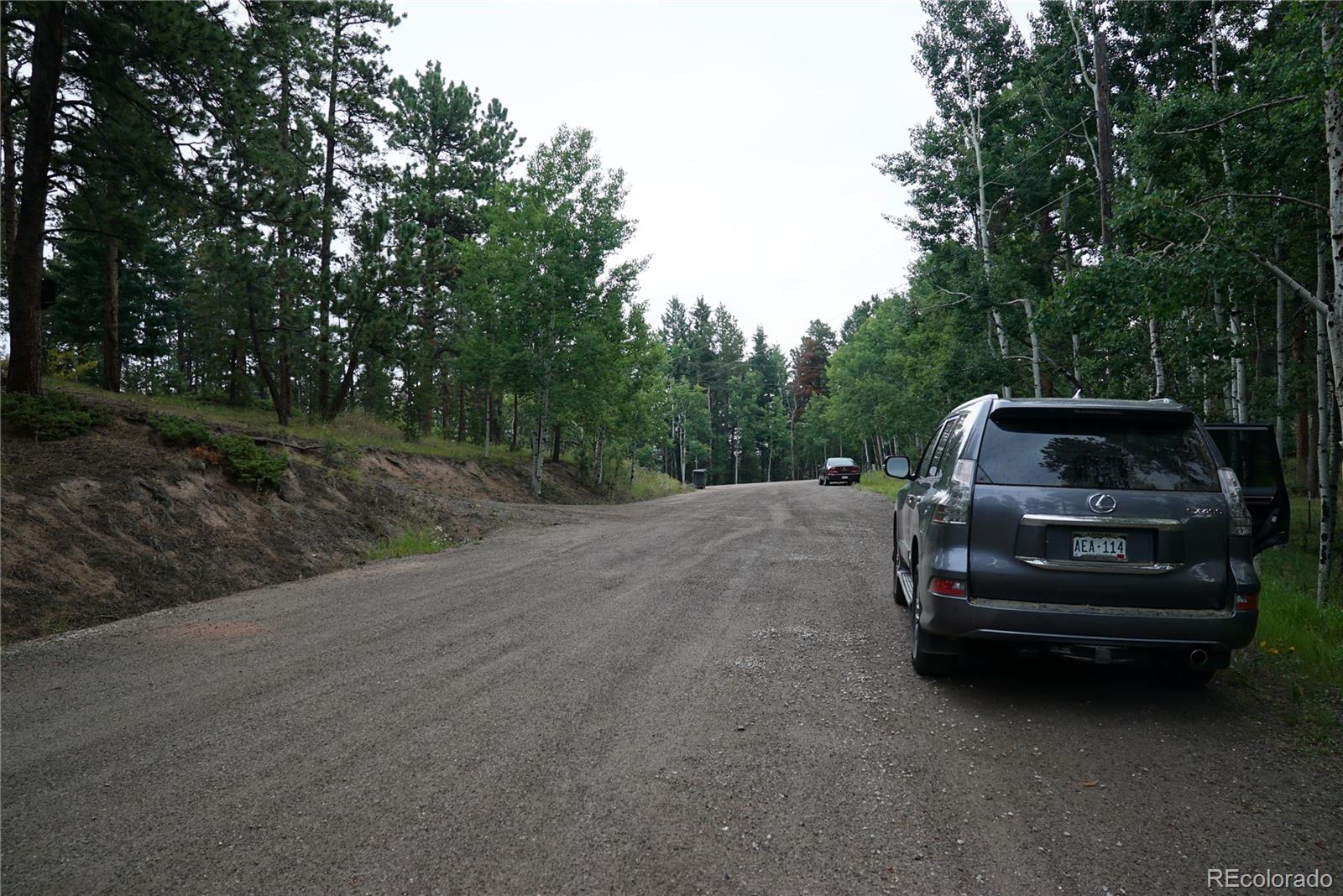 Cordingly Road Conifer, CO 80433 - Photo 4 of 5 Gallery Image 4