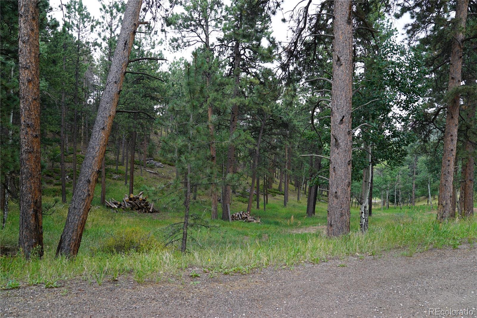 Cordingly Road Conifer, CO 80433 - Photo 5 of 5 Gallery Image 5