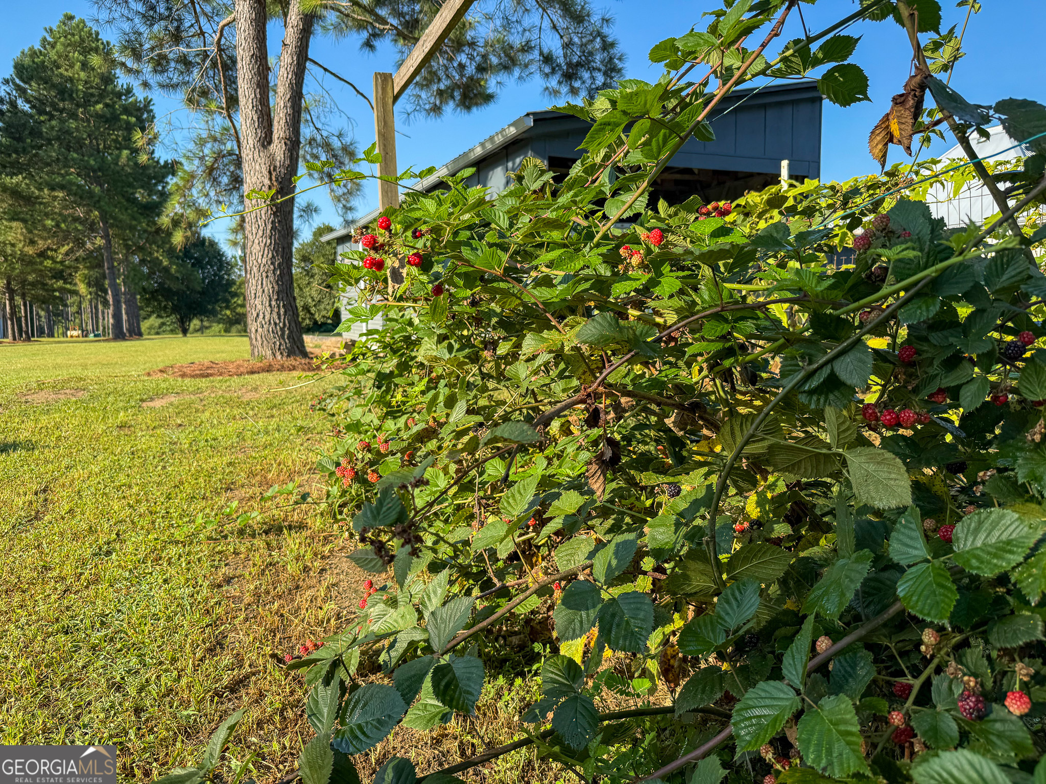 162 College Street Parrott, GA 39877 - Photo 28 of 52