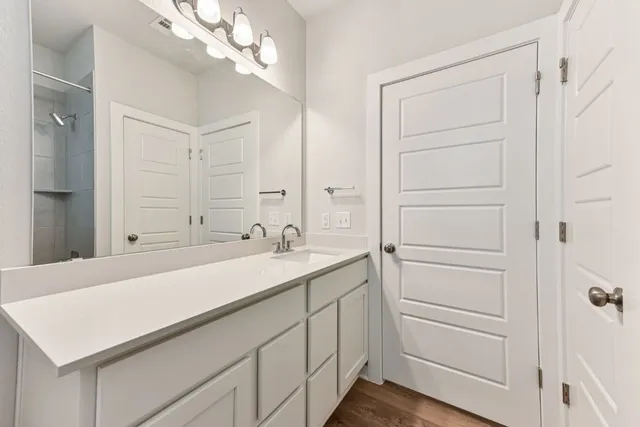 a bathroom with a sink vanity and a mirror