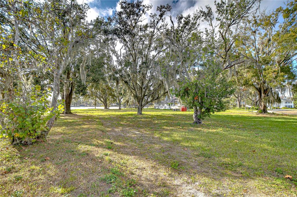 3207 Lake Padgett Drive Land O' Lakes, FL 34639 - Photo 2 of 6