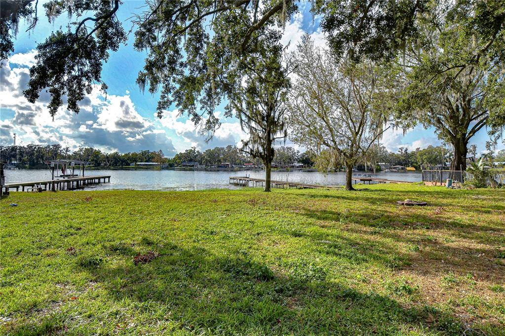 3207 Lake Padgett Drive Land O' Lakes, FL 34639 - Photo 3 of 6
