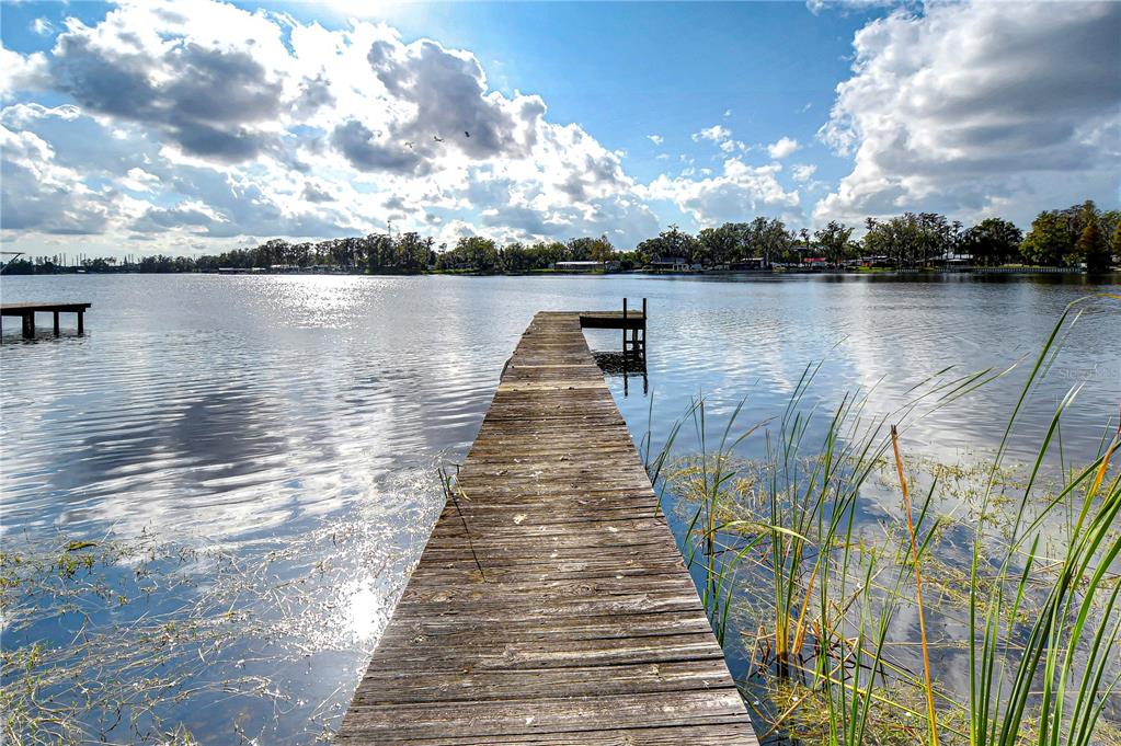 3207 Lake Padgett Drive Land O' Lakes, FL 34639 - Photo 4 of 6