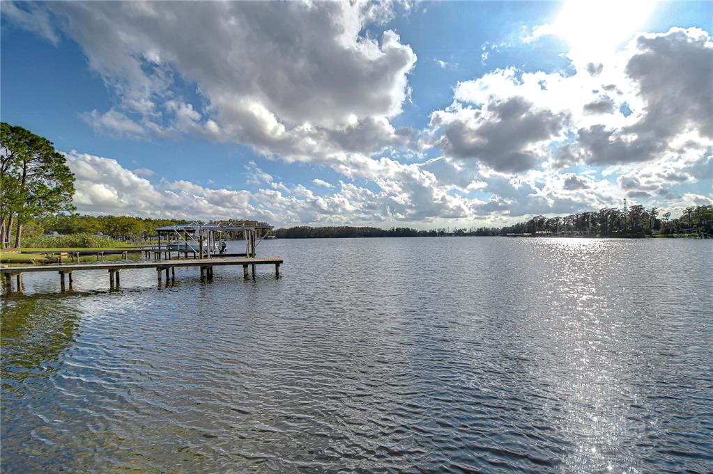 3207 Lake Padgett Drive Land O' Lakes, FL 34639 - Photo 5 of 6
