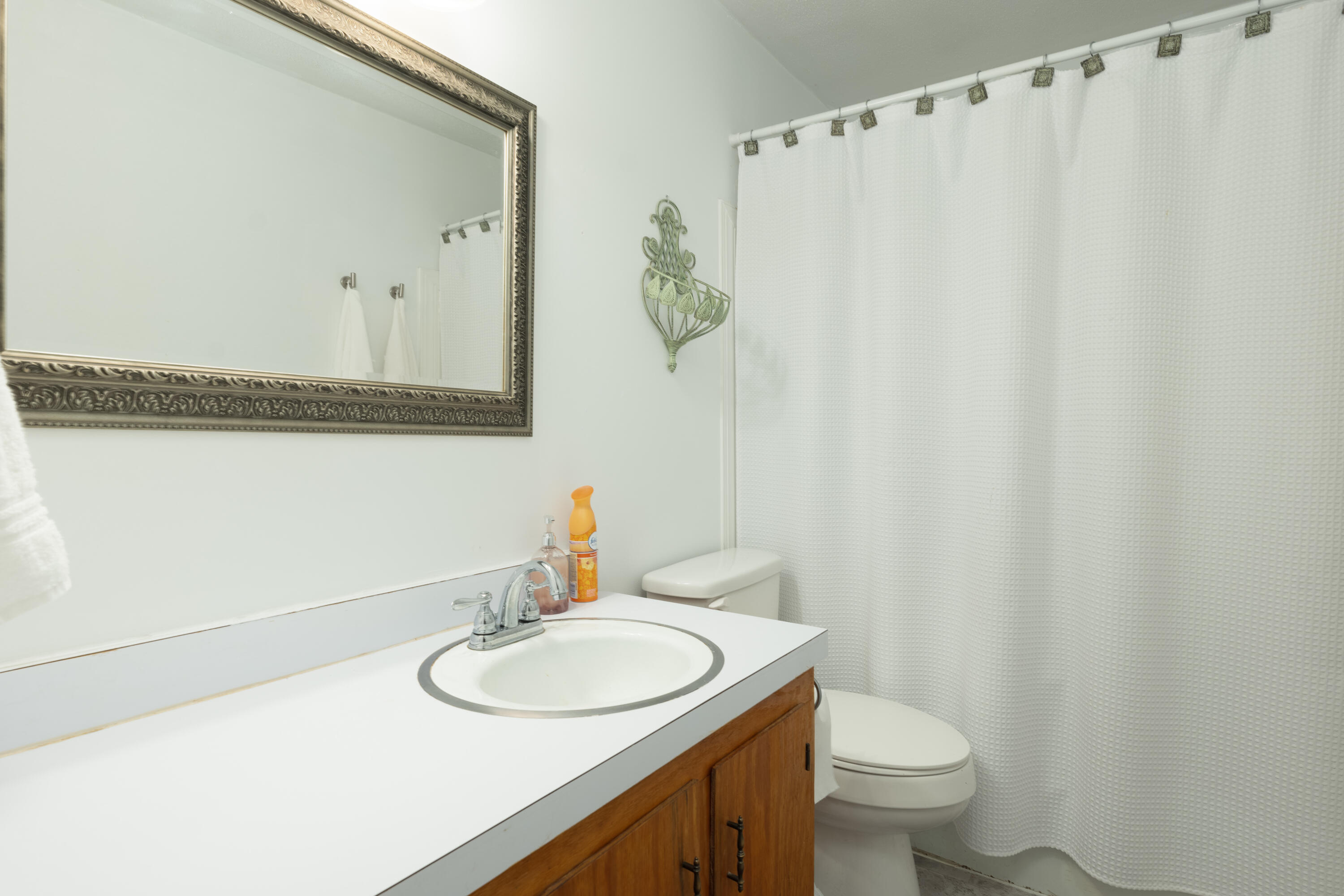 652 Beidler Forest Road Dorchester, SC 29437 - Photo 23 of 33 P1042846-Edit