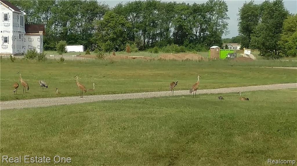0 South Tipsico Lake Road Highland, MI 48357 - Photo 5 of 6