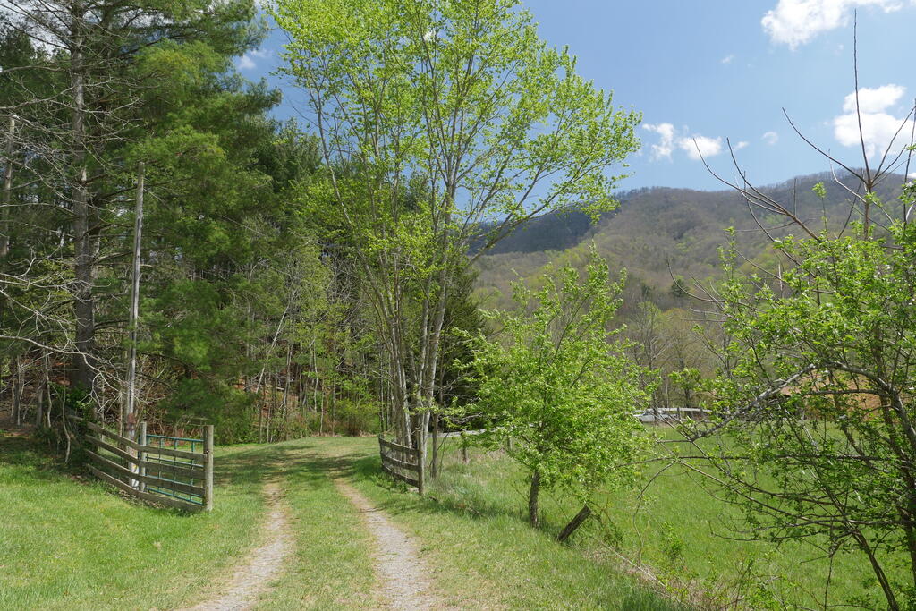 4020 Freestone Valley Road Tannersville, VA 24377 - Photo 5 of 109 Gallery Image 5