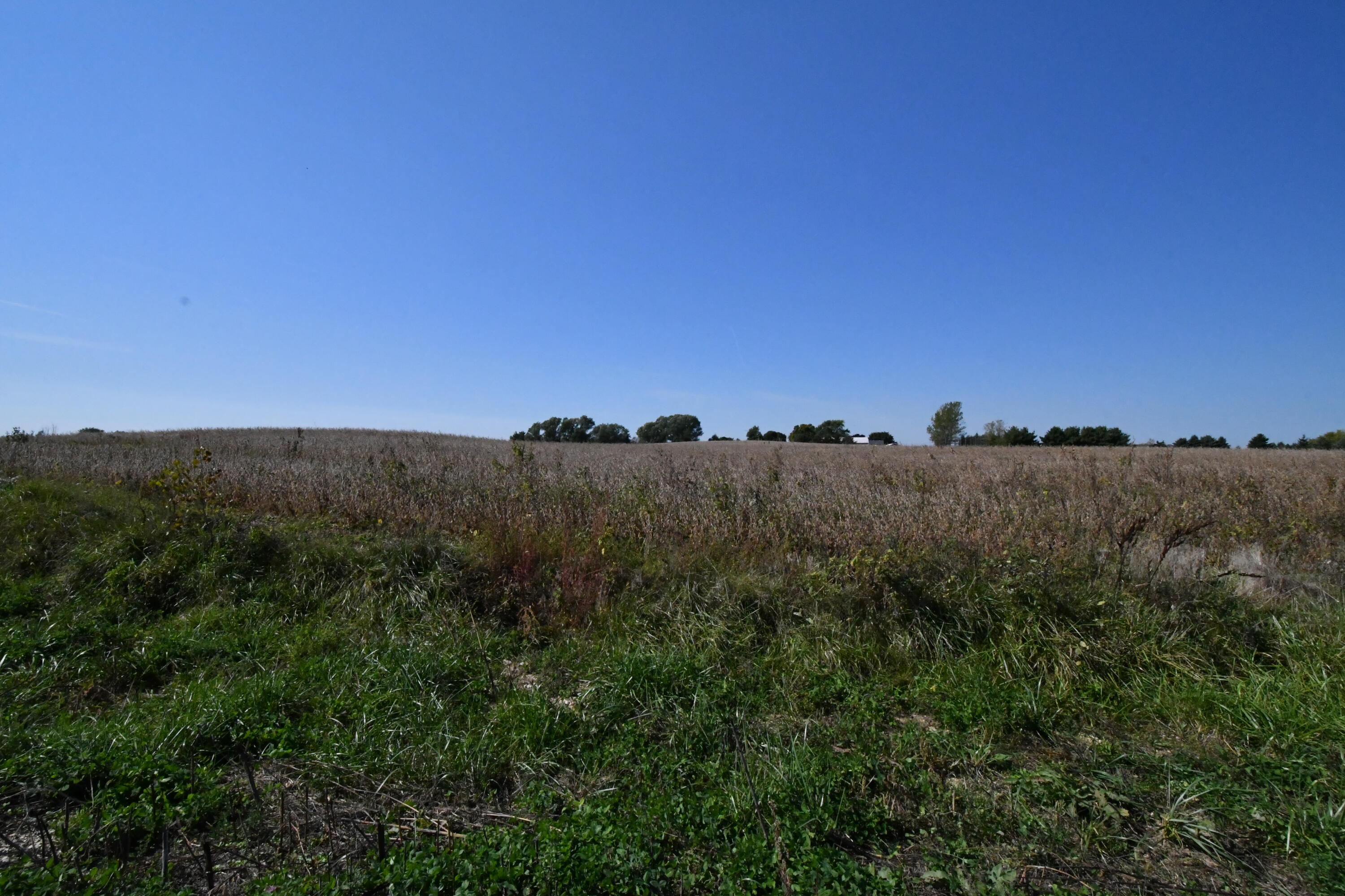 Lt47 Karau Avenue Ripon, WI 54971 - Photo 4 of 6 DSC_9111