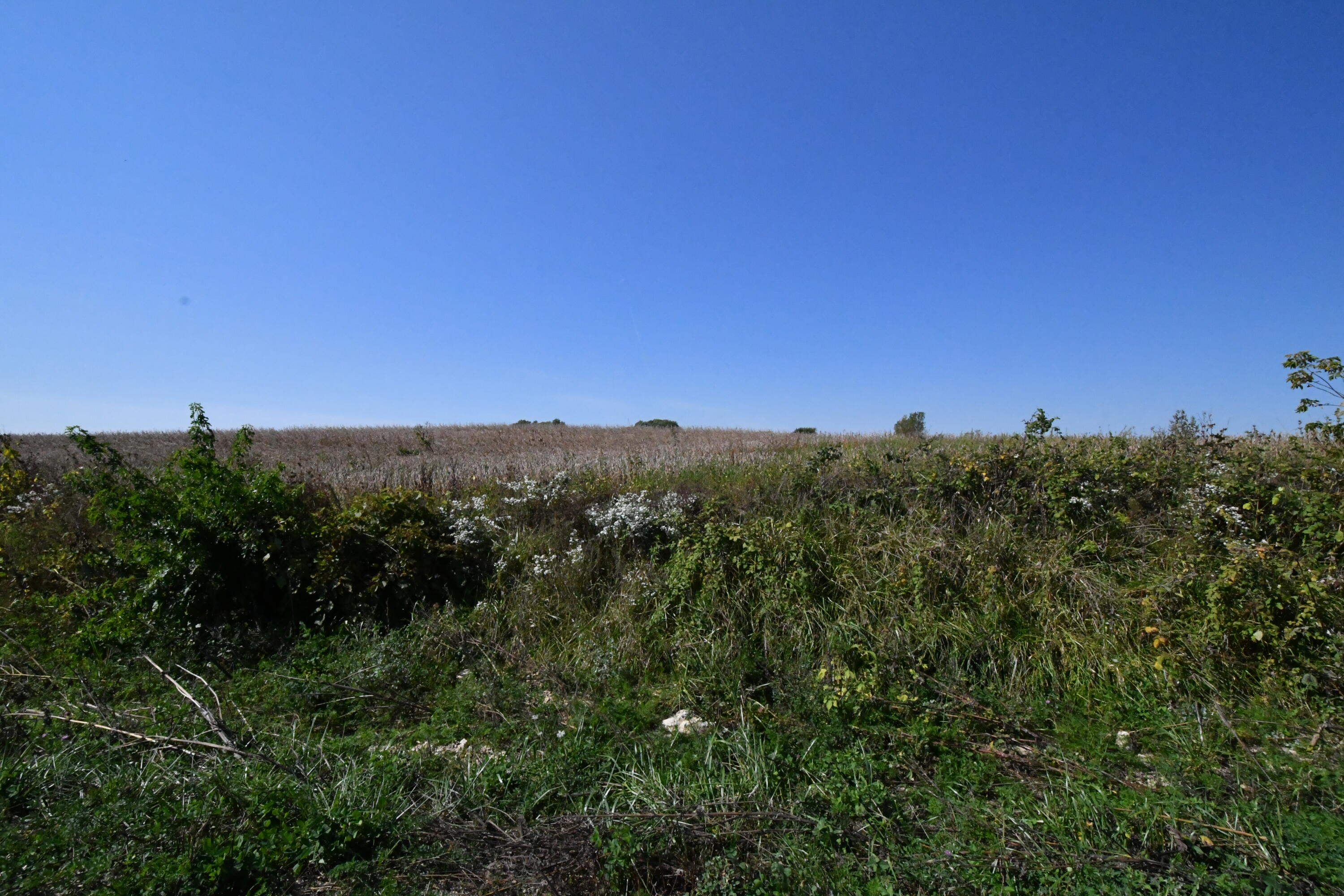 Lt47 Karau Avenue Ripon, WI 54971 - Photo 5 of 6 DSC_9112