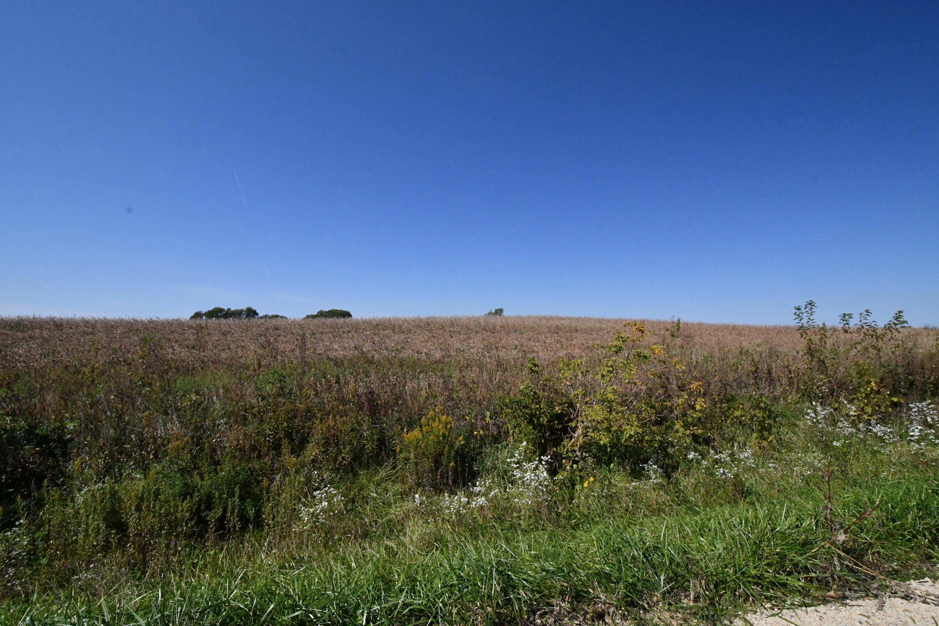 Lt47 Karau Avenue Ripon, WI 54971 - Photo 6 of 6 DSC_9113