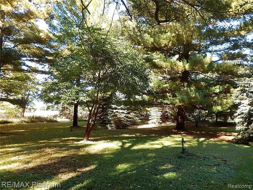 8187 Pingree Road Pinckney, MI 48169 - Photo 77 of 82 77.JPG