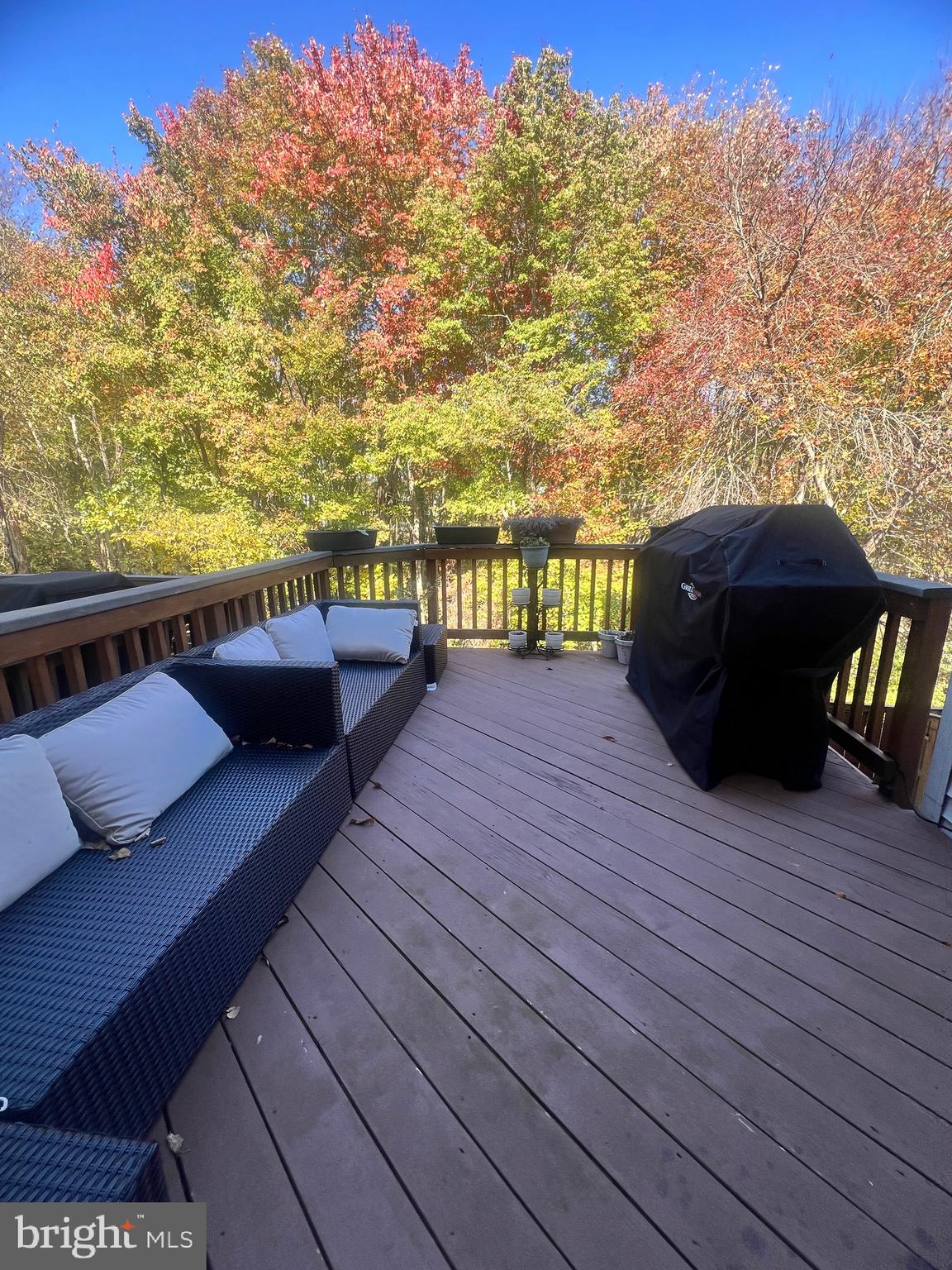 7317 Hampton Manor Place Springfield, VA 22150 - Photo 32 of 38 a view of a terrace with sky view