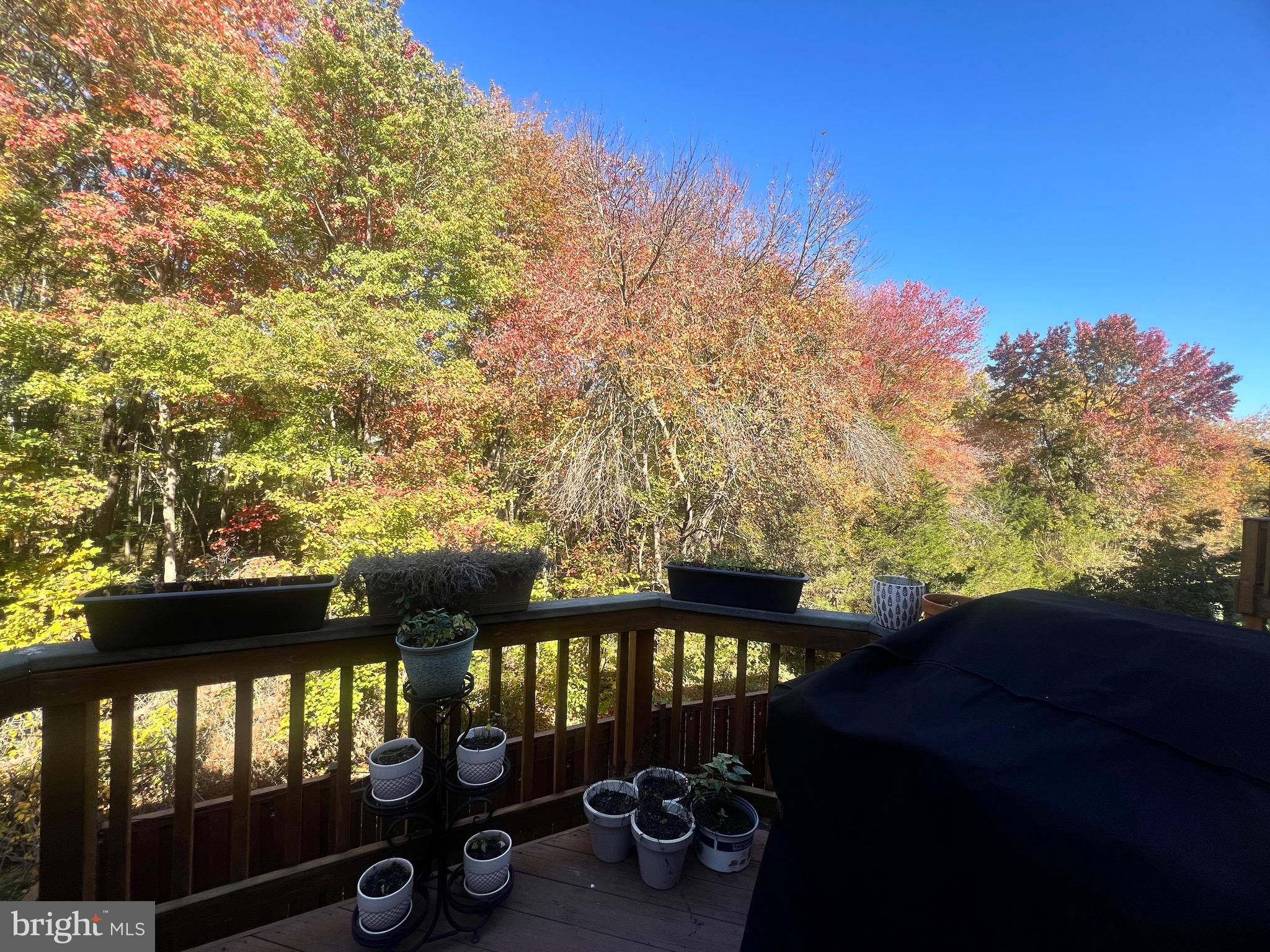 7317 Hampton Manor Place Springfield, VA 22150 - Photo 35 of 38 a view of a porch