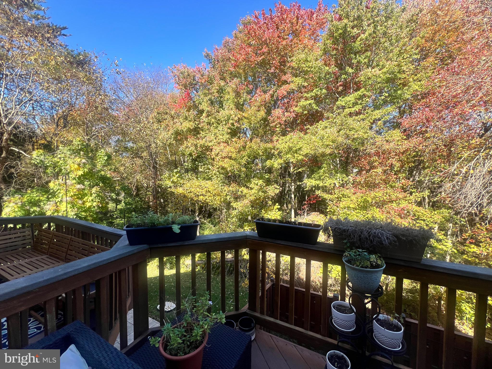 7317 Hampton Manor Place Springfield, VA 22150 - Photo 37 of 38 a view of a balcony with chairs and a potted plant