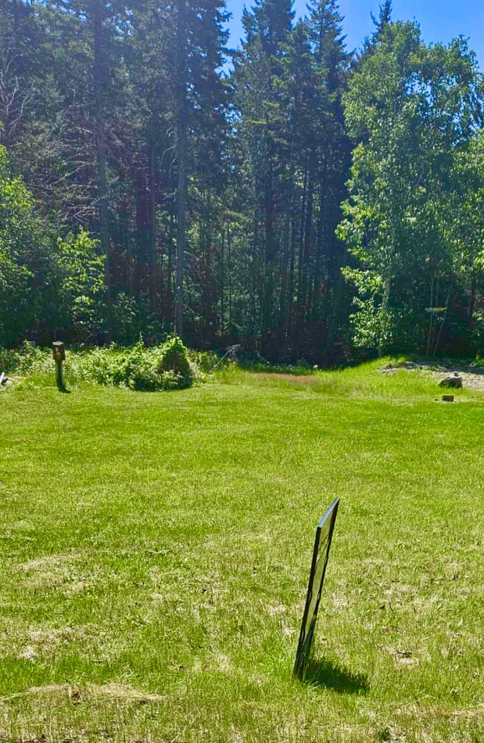 56 Dodge Point Road Tremont, ME 04612 - Photo 9 of 26 Land is ready for your home