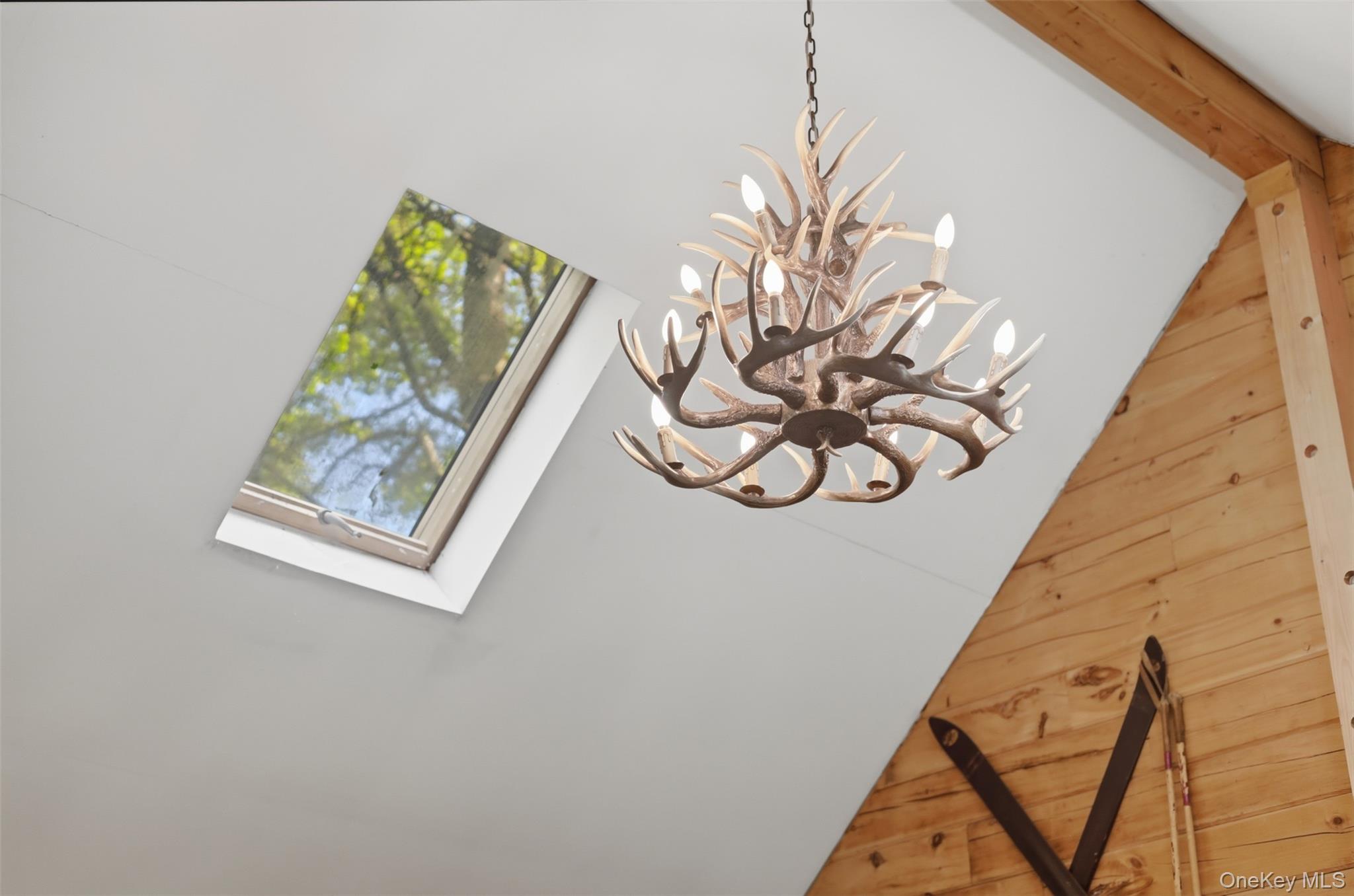 301 Pucky Huddle Road Bethel, NY 12720 - Photo 11 of 39 Charming antler chandelier