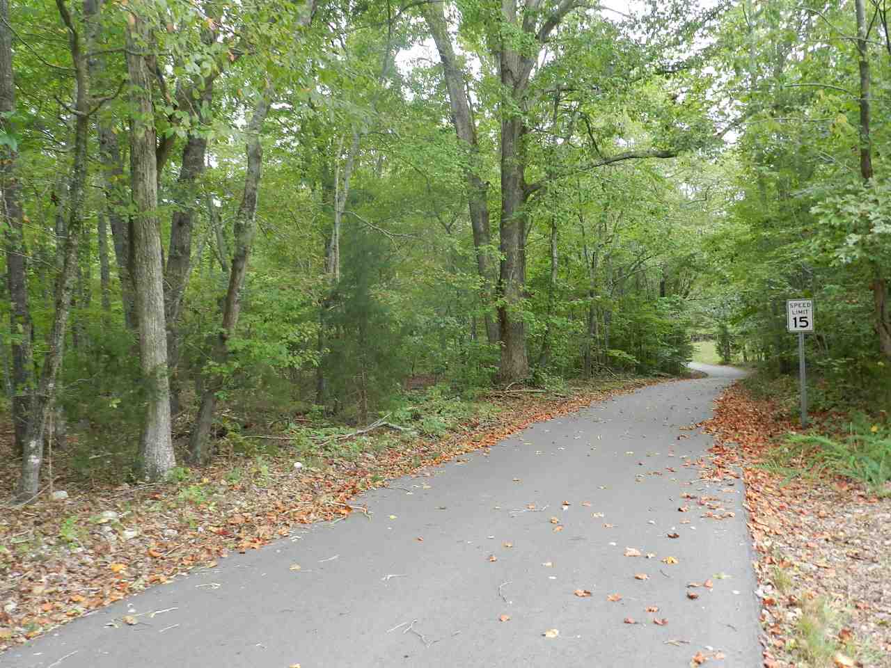 412 Indian Springs Road Blacksburg, SC 29702 - Photo 11 of 15