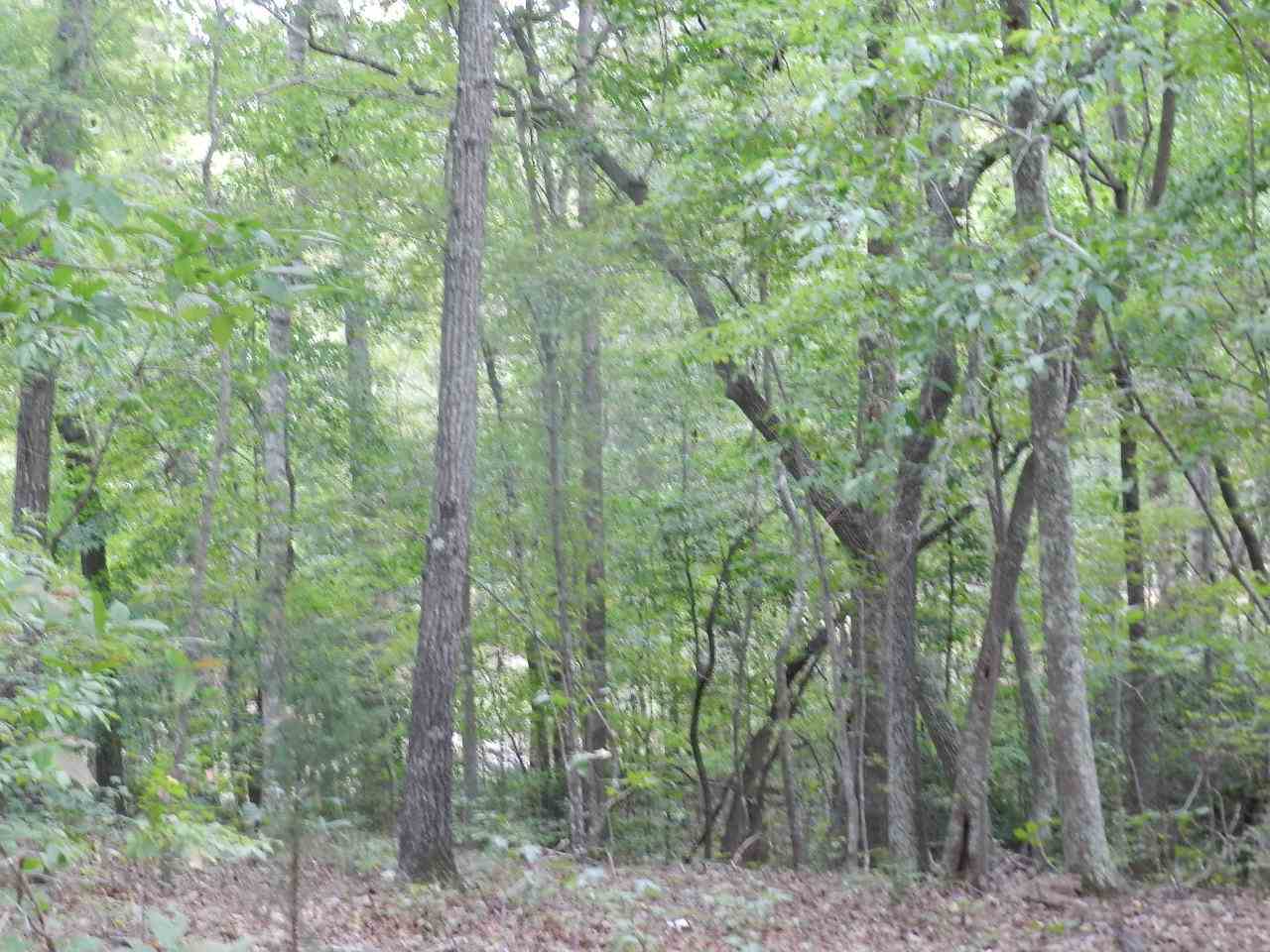 412 Indian Springs Road Blacksburg, SC 29702 - Photo 12 of 15