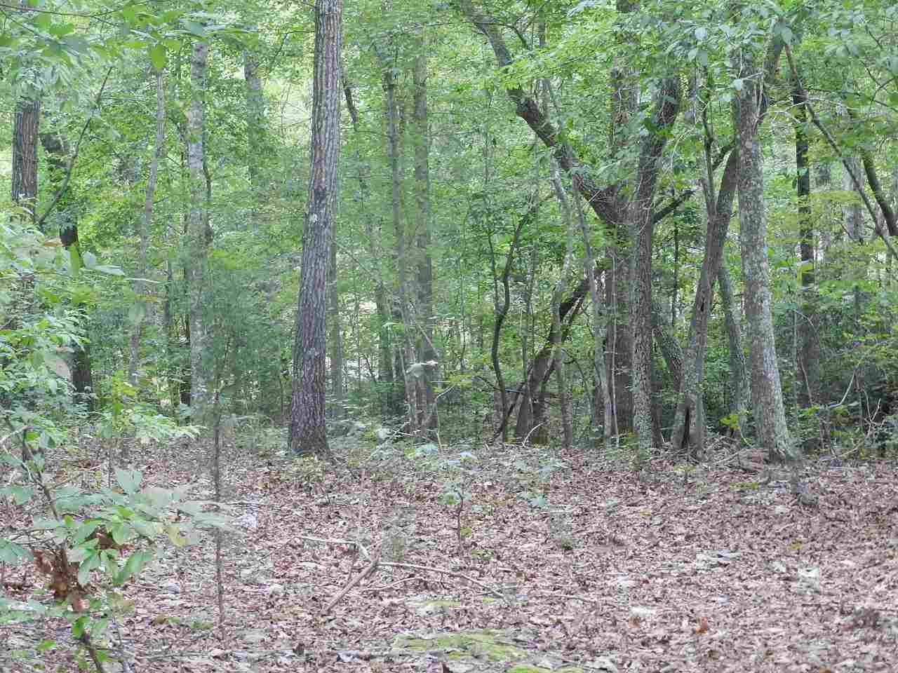 412 Indian Springs Road Blacksburg, SC 29702 - Photo 13 of 15