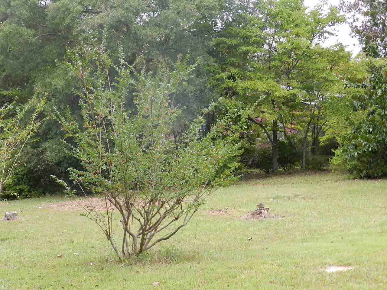 412 Indian Springs Road Blacksburg, SC 29702 - Photo 15 of 15