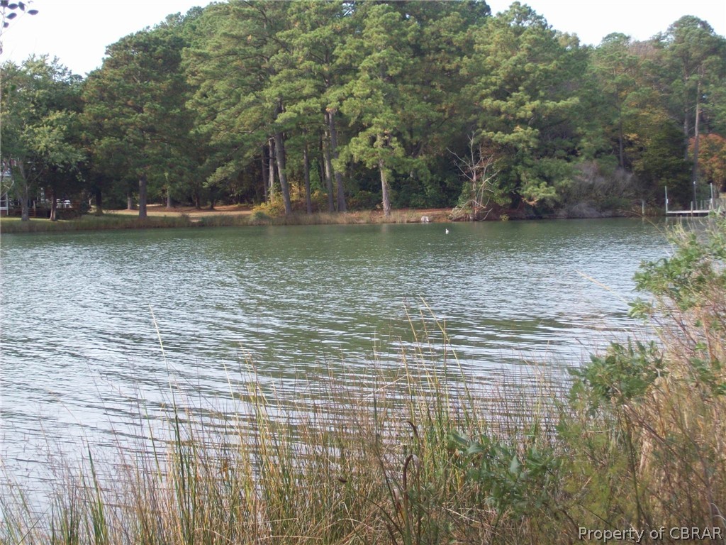 383 Hicks Road Hudgins, VA 23076 - Photo 6 of 8 a view of lake with green space