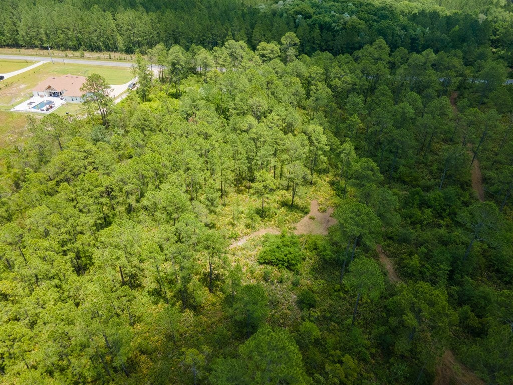 Tract A Quarterman Road Hahira, GA 31632 - Photo 2 of 8 Gallery Image 2